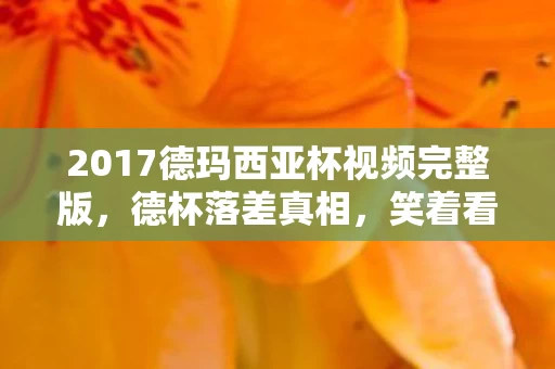 2017德玛西亚杯视频完整版,德杯落差真相,笑着看旧梦,笑着笑着,泪水却浸湿了回忆的键盘 2017德玛西亚杯视频完整版,德杯落差真相,笑着看旧梦,笑着笑着,泪水却浸湿了回忆的键盘