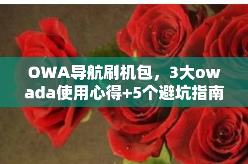 OWA导航刷机包,3大owada使用心得+5个避坑指南,让你少走90%弯路! OWA导航刷机包,3大owada使用心得+5个避坑指南,让你少走90%弯路!