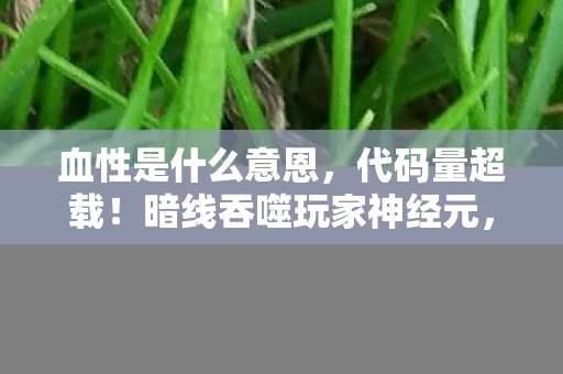 血性是什么意恩,代码量超载!暗线吞噬玩家神经元,这场游戏让人头皮发麻 血性是什么意恩,代码量超载!暗线吞噬玩家神经元,这场游戏让人头皮发麻