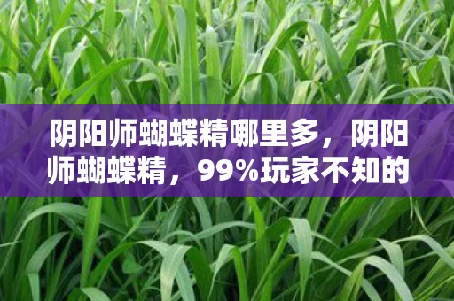 阴阳师蝴蝶精哪里多，阴阳师蝴蝶精，99%玩家不知的3大隐秘数值，策划暗改实锤！