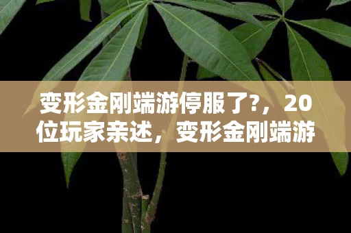 变形金刚端游停服了?，20位玩家亲述，变形金刚端游新版本疑点重重，这操作谁绷得住啊？