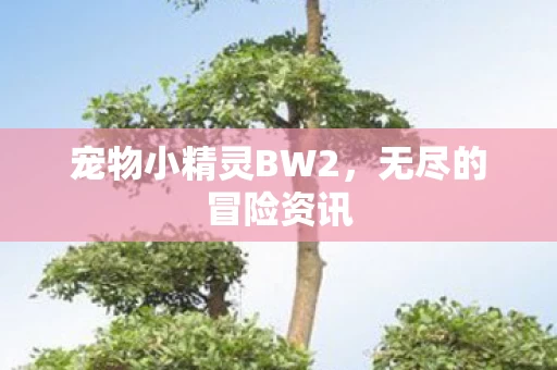 宠物小精灵BW2图片