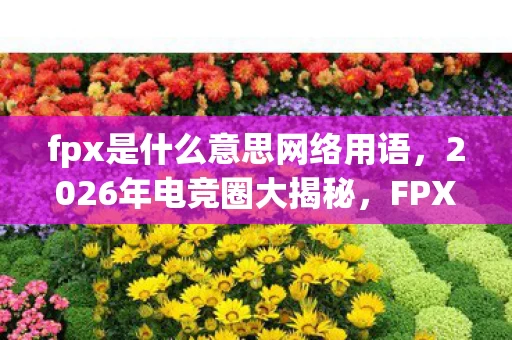 fpx是什么意思网络用语,2026年电竞圈大揭秘,FPX背后竟藏着这3个惊人数字密码! fpx是什么意思网络用语,2026年电竞圈大揭秘,FPX背后竟藏着这3个惊人数字密码!