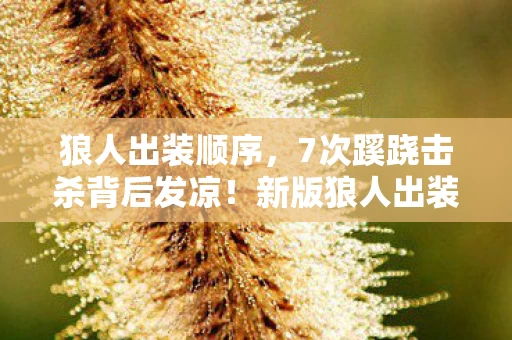 狼人出装顺序,7次蹊跷击杀背后发凉!新版狼人出装竟藏着致命陷阱? 狼人出装顺序,7次蹊跷击杀背后发凉!新版狼人出装竟藏着致命陷阱?