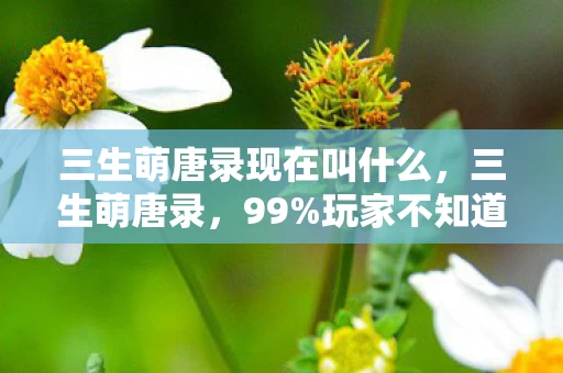 三生萌唐录现在叫什么,三生萌唐录,99%玩家不知道的5大氪金猫腻,上头到想摔手机! 三生萌唐录现在叫什么,三生萌唐录,99%玩家不知道的5大氪金猫腻,上头到想摔手机!