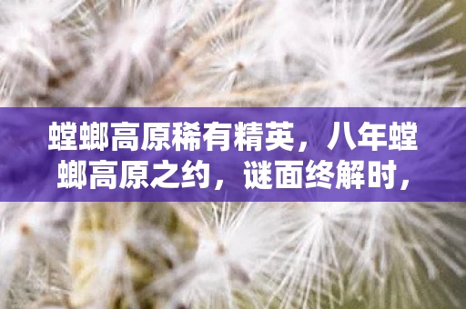 螳螂高原稀有精英，八年螳螂高原之约，谜面终解时，泪目竟是空守