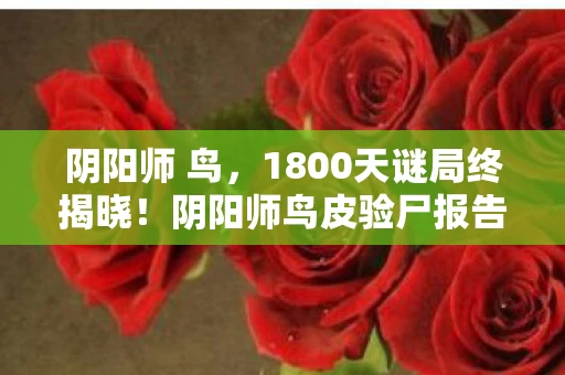 阴阳师 鸟,1800天谜局终揭晓!阴阳师鸟皮验尸报告,那些消失的式神与未亡人的泪 阴阳师 鸟,1800天谜局终揭晓!阴阳师鸟皮验尸报告,那些消失的式神与未亡人的泪