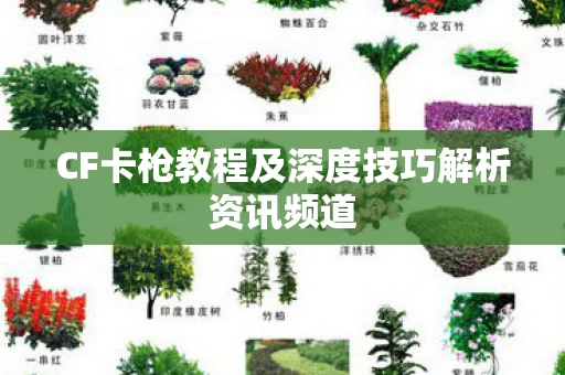 CF卡枪教程及深度技巧解析资讯频道图片