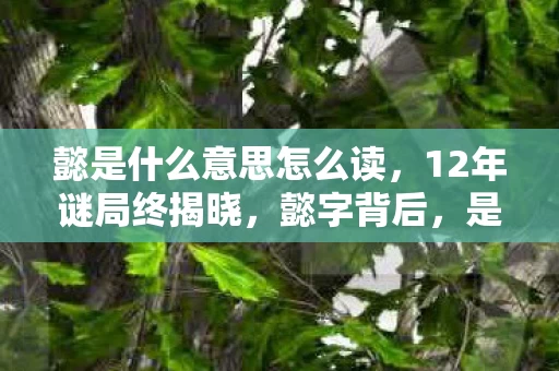懿是什么意思怎么读,12年谜局终揭晓,懿字背后,是千万玩家泪目的青春 懿是什么意思怎么读,12年谜局终揭晓,懿字背后,是千万玩家泪目的青春