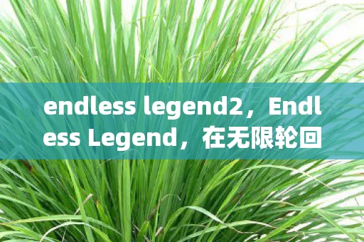 endless legend2,Endless Legend,在无限轮回的悖论中,我的灵魂震颤于第17层抉择 endless legend2,Endless Legend,在无限轮回的悖论中,我的灵魂震颤于第17层抉择