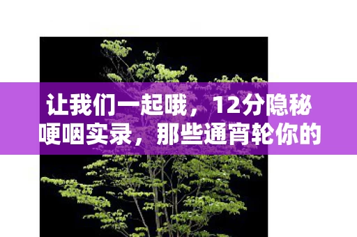 让我们一起哦，12分隐秘哽咽实录，那些通宵轮你的夜晚，如今只剩我独自上线