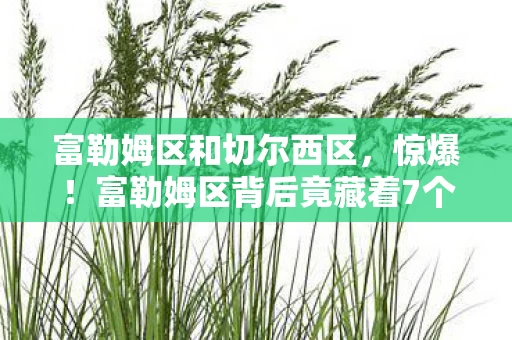 富勒姆区和切尔西区,惊爆!富勒姆区背后竟藏着7个颠覆想象的神秘设计! 富勒姆区和切尔西区,惊爆!富勒姆区背后竟藏着7个颠覆想象的神秘设计!