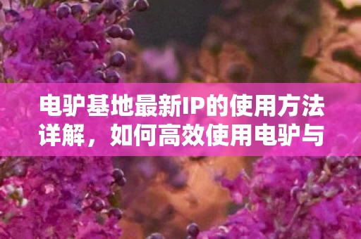 电驴基地最新IP的使用方法详解图片