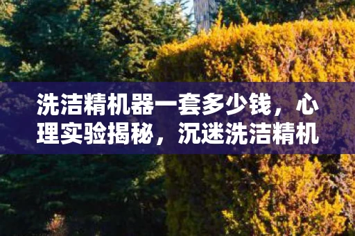 洗洁精机器一套多少钱,心理实验揭秘,沉迷洗洁精机器游戏?多巴胺陷阱细思极恐! 洗洁精机器一套多少钱,心理实验揭秘,沉迷洗洁精机器游戏?多巴胺陷阱细思极恐!
