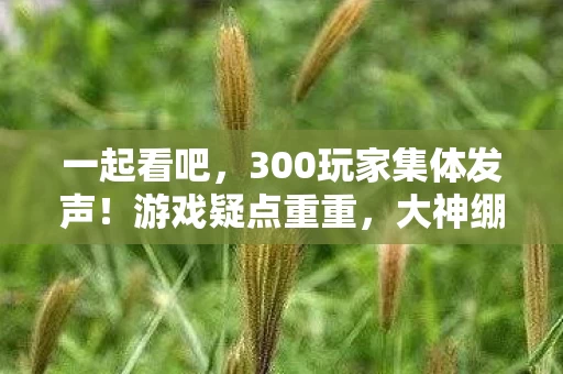 一起看吧,300玩家集体发声!游戏疑点重重,大神绷不住竟爆粗口 一起看吧,300玩家集体发声!游戏疑点重重,大神绷不住竟爆粗口