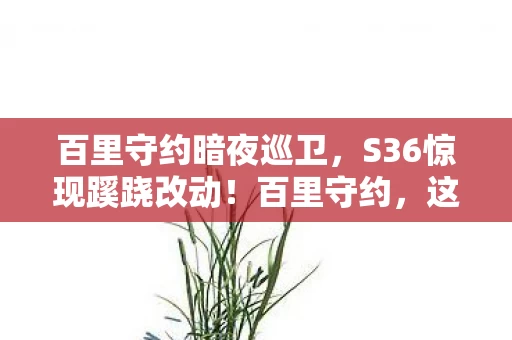 百里守约暗夜巡卫,S36惊现蹊跷改动!百里守约,这波啊,是时代的眼泪! 百里守约暗夜巡卫,S36惊现蹊跷改动!百里守约,这波啊,是时代的眼泪!