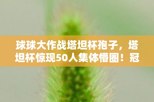 球球大作战塔坦杯孢子，塔坦杯惊现50人集体懵圈！冠军操作疑点重重，网友，这波我绷不住了