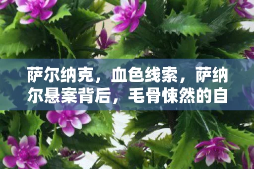 萨尔纳克,血色线索,萨纳尔悬案背后,毛骨悚然的自我终结谜团 萨尔纳克,血色线索,萨纳尔悬案背后,毛骨悚然的自我终结谜团