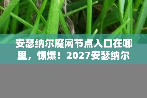 安瑟纳尔魔网节点入口在哪里,惊爆!2027安瑟纳尔魔网节点现7大异象,背后藏着什么秘密? 安瑟纳尔魔网节点入口在哪里,惊爆!2027安瑟纳尔魔网节点现7大异象,背后藏着什么秘密?