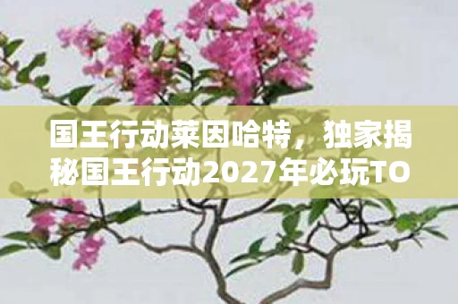 国王行动莱因哈特,独家揭秘国王行动2027年必玩TOP3体验!错过再等十年心得 国王行动莱因哈特,独家揭秘国王行动2027年必玩TOP3体验!错过再等十年心得