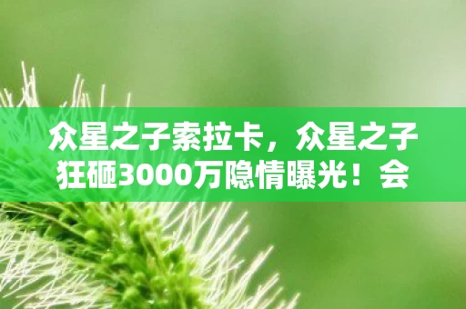 众星之子索拉卡，众星之子狂砸3000万隐情曝光！会议室拍桌怒吼，这方案早该枪毙！