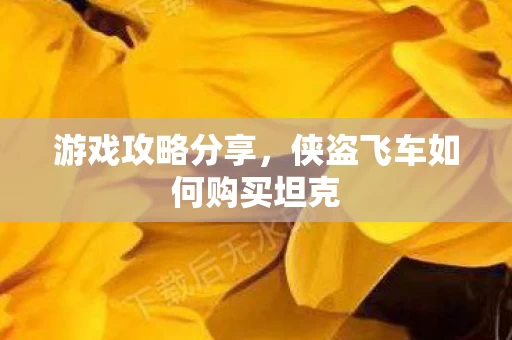 侠盗飞车如何购买坦克图片