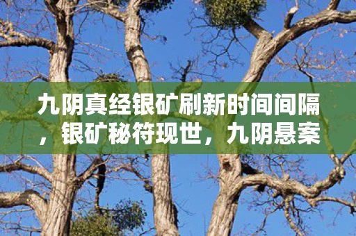 九阴真经银矿刷新时间间隔,银矿秘符现世,九阴悬案惊魂,谁在暗处操控我的命运? 九阴真经银矿刷新时间间隔,银矿秘符现世,九阴悬案惊魂,谁在暗处操控我的命运?