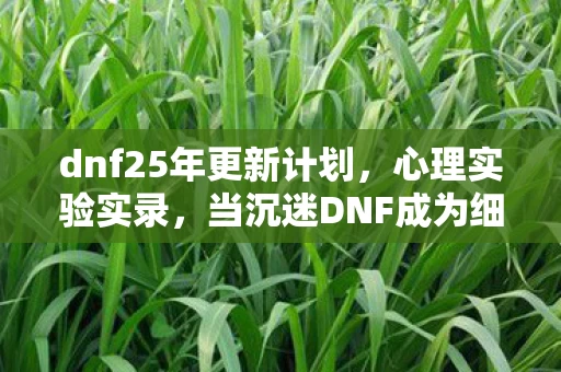dnf25年更新计划，心理实验实录，当沉迷DNF成为细思极恐的自我麻醉剂