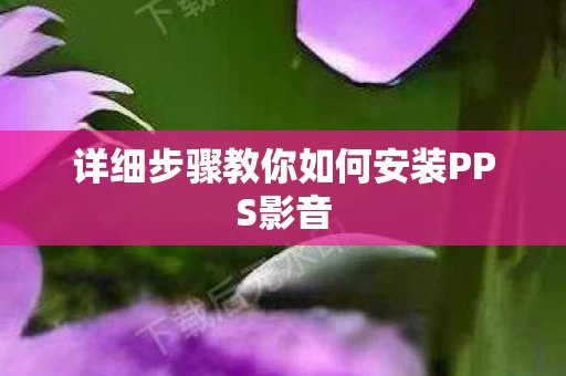 详细步骤教你如何安装PPS影音图片