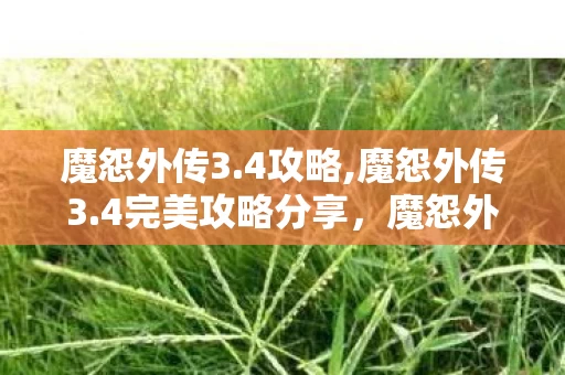 魔怨外传3.4攻略,魔怨外传3.4完美攻略分享，魔怨外传3.4攻略从画面诈骗到运营摆烂，笑着骂完才发现，这破游戏早刻进DNA了