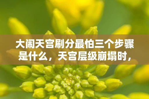 大闹天宫刷分最怕三个步骤是什么,天宫层级崩塌时,当五五开成为命运悖论的自由囚徒 大闹天宫刷分最怕三个步骤是什么,天宫层级崩塌时,当五五开成为命运悖论的自由囚徒