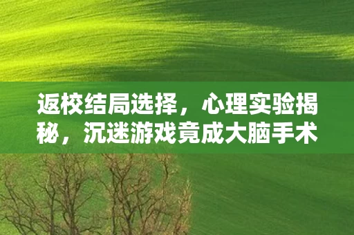 返校结局选择，心理实验揭秘，沉迷游戏竟成大脑手术？返校结局细思极恐