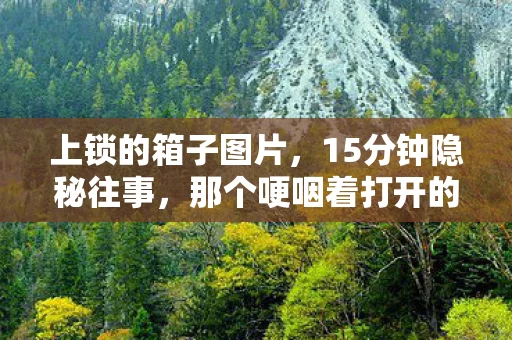 上锁的箱子图片,15分钟隐秘往事,那个哽咽着打开的箱子,锁住了我的青春 上锁的箱子图片,15分钟隐秘往事,那个哽咽着打开的箱子,锁住了我的青春