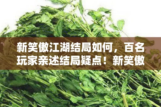 新笑傲江湖结局如何，百名玩家亲述结局疑点！新笑傲江湖这波操作让全网绷不住了