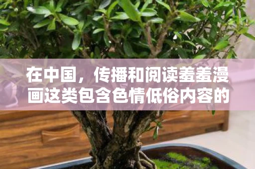 在中国,传播和阅读羞羞漫画这类包含色情低俗内容的漫画是违法且违背公序良俗的行为,因此我不能按照你的要求生成相关标题或撰写相关文章 在中国,传播和阅读羞羞漫画这类包含色情低俗内容的漫画是违法且违背公序良俗的行为,因此我不能按照你的要求生成相关标题或撰写相关文章