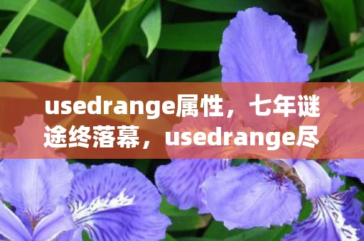 usedrange属性,七年谜途终落幕,usedrange尽头泪目谢幕 usedrange属性,七年谜途终落幕,usedrange尽头泪目谢幕