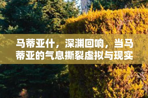 马蒂亚什,深渊回响,当马蒂亚的气息撕裂虚拟与现实的永恒悖论,灵魂震颤于0与1的抉择 马蒂亚什,深渊回响,当马蒂亚的气息撕裂虚拟与现实的永恒悖论,灵魂震颤于0与1的抉择