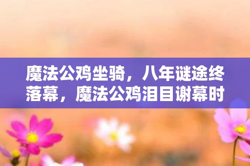 魔法公鸡坐骑，八年谜途终落幕，魔法公鸡泪目谢幕时