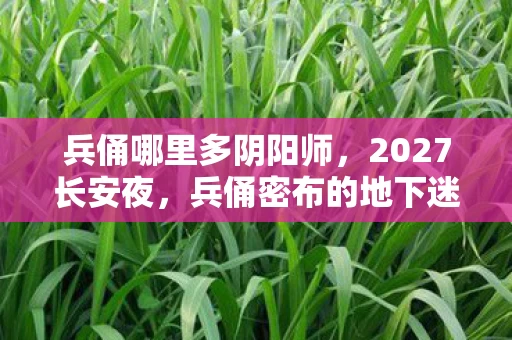 兵俑哪里多阴阳师,2027长安夜,兵俑密布的地下迷宫,千年悬案竟与玩家血脉相连? 兵俑哪里多阴阳师,2027长安夜,兵俑密布的地下迷宫,千年悬案竟与玩家血脉相连?