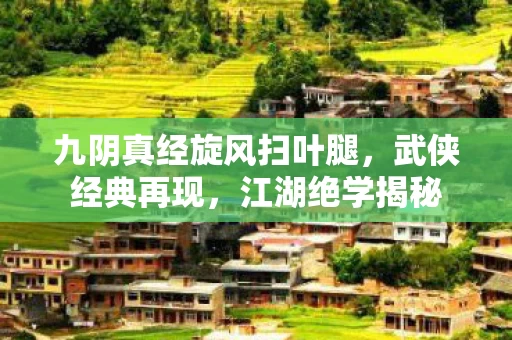 九阴真经旋风扫叶腿图片
