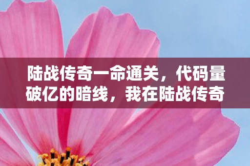 陆战传奇一命通关,代码量破亿的暗线,我在陆战传奇里活成头皮发麻的数字原住民 陆战传奇一命通关,代码量破亿的暗线,我在陆战传奇里活成头皮发麻的数字原住民