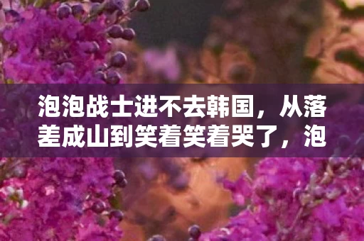 泡泡战士进不去韩国,从落差成山到笑着笑着哭了,泡泡战士进不去的真相太扎心 泡泡战士进不去韩国,从落差成山到笑着笑着哭了,泡泡战士进不去的真相太扎心