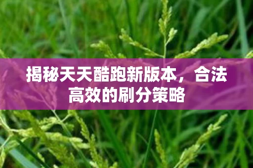 揭秘天天酷跑新版本图片