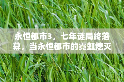 永恒都市3,七年谜局终落幕,当永恒都市的霓虹熄灭时,泪目了 永恒都市3,七年谜局终落幕,当永恒都市的霓虹熄灭时,泪目了