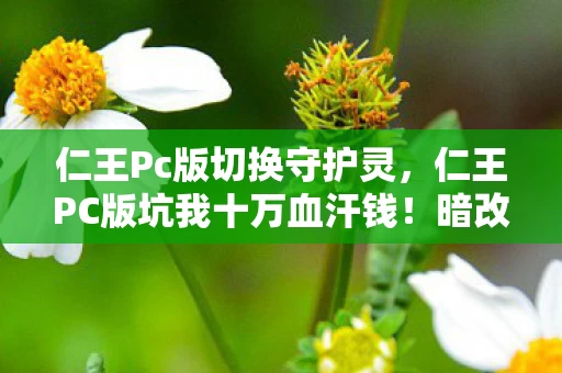 仁王Pc版切换守护灵,仁王PC版坑我十万血汗钱!暗改爆率+付费DLC连环套,这操作吓掉下巴! 仁王Pc版切换守护灵,仁王PC版坑我十万血汗钱!暗改爆率+付费DLC连环套,这操作吓掉下巴!