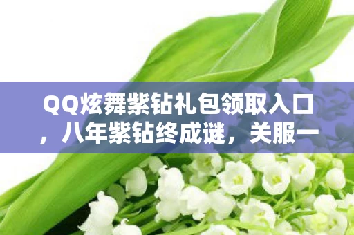 QQ炫舞紫钻礼包领取入口,八年紫钻终成谜,关服一瞬谁泪目? QQ炫舞紫钻礼包领取入口,八年紫钻终成谜,关服一瞬谁泪目?