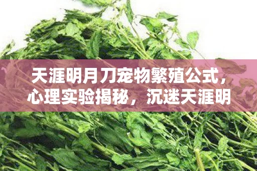 天涯明月刀宠物繁殖公式,心理实验揭秘,沉迷天涯明月刀宠物养成,细思极恐的自我囚禁 天涯明月刀宠物繁殖公式,心理实验揭秘,沉迷天涯明月刀宠物养成,细思极恐的自我囚禁