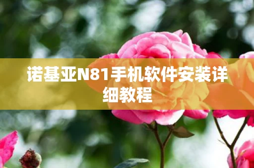 诺基亚N81手机软件安装详细教程图片