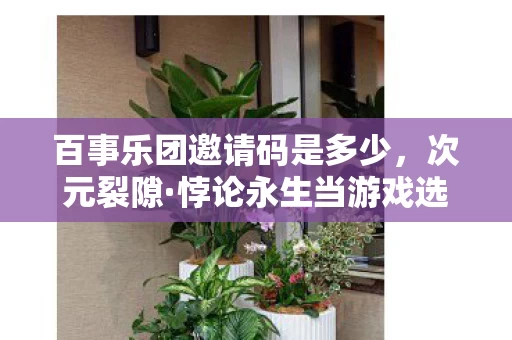 百事乐团邀请码是多少,次元裂隙·悖论永生当游戏选择成为灵魂的审判天平 百事乐团邀请码是多少,次元裂隙·悖论永生当游戏选择成为灵魂的审判天平