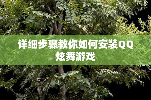 详细步骤教你如何安装QQ炫舞游戏图片